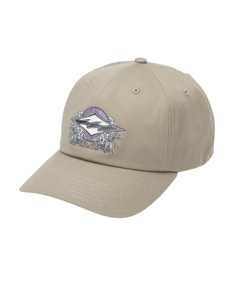 Billabong Crayon Wave Strapback