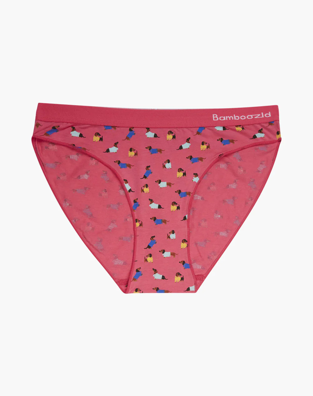 Bamboozld Womens Bikini Underwear