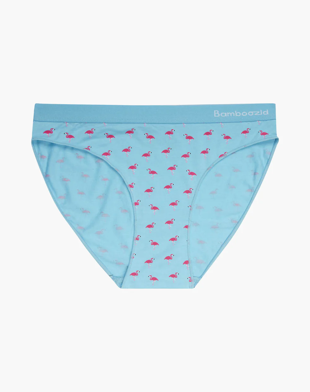 Bamboozld Womens Bikini Underwear