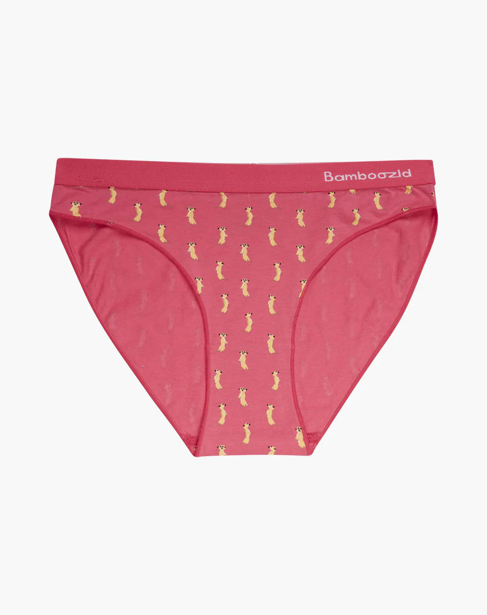 Bamboozld Womens Bikini Underwear