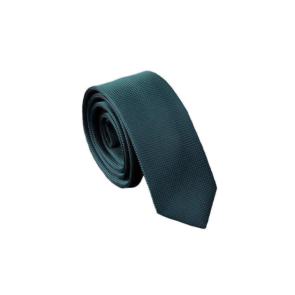 Carlo Visconti Slim Self Pattern Tie